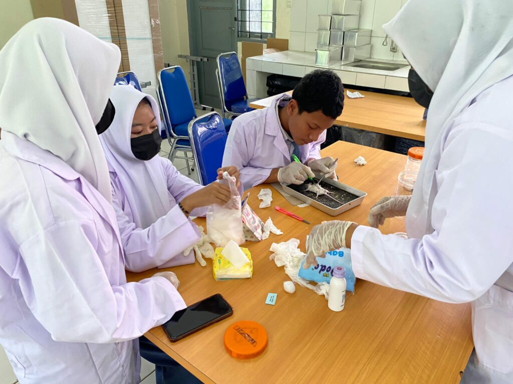 WhatsApp Image 2025-10-17 at 11.47.08